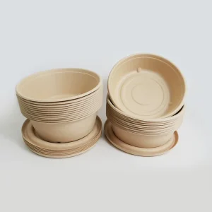 China Factory Disposable Biodegradable Bamboo Bowls Ecologically Friendly Bowl for Food Festival