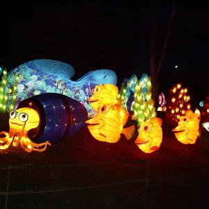 Chinese Decorative Silk Festival Led Show Fish Customized Zigong Waterproof Lanterns Park Outdoor