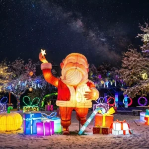 Chinese Festival Graduation Thanksgiving LED Iron Tree Light Show Interactive Lantern for Attraction