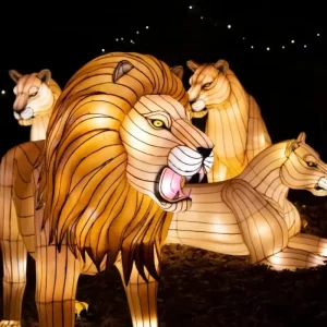 Chinese Lantern Festival Animal LED Iron Lantern Jungle Animal Giraffe Graduation Ramadan Party Theme Extra Large Outdoor