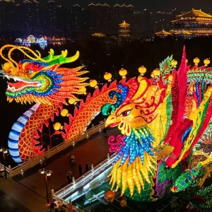 Chinese Lantern Festival Christmas Ornaments Giant Zodiac Animal Lanterns Led Silk Dragon Lantern for New Year Decoration