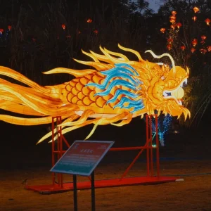 Chinese New Year Dragon Fish Animal Lantern Outdoor Handmade Waterproof Wall Hanging Decor Party Decorations