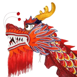 Chinese New Year LED Dragon & Lion Dance Costume with Foam/PVC/Cloth/Steel Materials Dragon Lantern