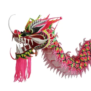 Chinese New Year LED Multiple Color Dragon Dance Costume Dragon and Lion Dance Chinese Dragon Lantern