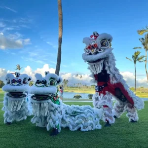 Chinese New Year Lion Dance Head Costume for Adults Handmade Silk/Cotton Thick Wool Plush Traditional Custom Performance Props