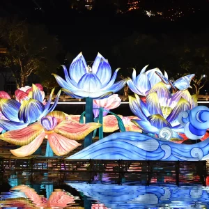 Chinese Weatherproof Traditional Flower Lanterns for Mid Autumn Festival New Year Park Decorations