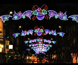 Christmas Festival Decorative Lighting Street Lighting LED Decorative Lights