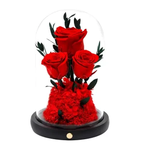 Christmas Gifts Preserved Rose Flower in Glass Dome with LED Natural Eternal Flower Gifts for Valentine Birthday Home Decor