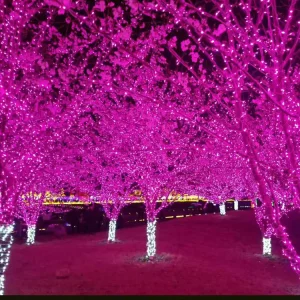 Christmas Outdoor Garden Decoration Waterproof Artificial Stars 10M LED String Light
