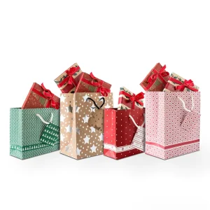 Christmas Recyclable Kraft Paper Gift Bag for Holiday Packaging