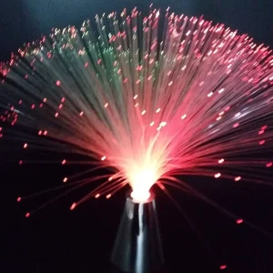 Colorful Christmas Xmas Party Decor Luminous Flower Lamp Gradients Led Optic Fiber Star Light