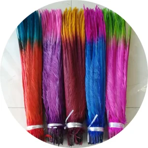 Colorful Pheasant Tail Feathers for Carnival Samba Costume