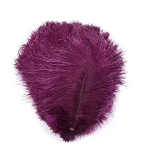 Colors Natural Plume Ostrich Feathers for Party Carnival Home Wedding Centerpiece Christmas Vase Holiday Decor DIY Craft Floral