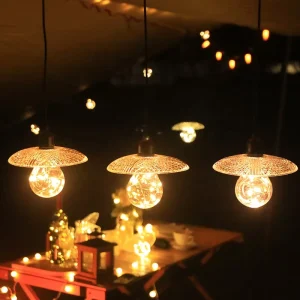 Commercial Outdoor IP44 DC 6V String Light Festoon Globe Bulb Decorative Lighting Christmas Holidays Festive