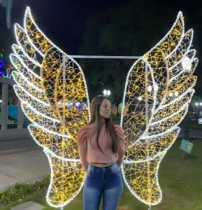 Commercial Outdoor IP65 Waterproof LED Themed Photography Lights for Garden Indoor Festival Display Custom Photo Area Decoration