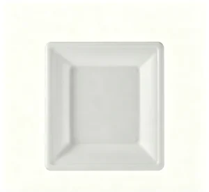 Compostable Biodegradable Sugarcane Bagasse Plates 26cm Square Disposable Food Grade Serving Trays for Party BBQ