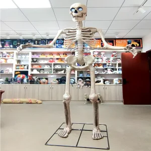 Cross Border Halloween 8.2 Foot (Approximately 2.5 Meters) Giant Assembled Skeleton Z288 Model Frame Electric Sound Producing De