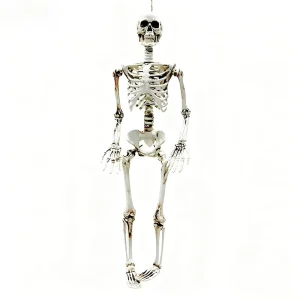 Cross Border Halloween Plastic Skeleton Model Garden Party Decoration Haunted House Props Waterproof Rechargeable Battery