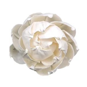 Custom Aromatherapy Peony Sola Wood Decorative Flower Handcrafted Fragrance Diffuser for Holiday Occasions