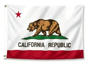Custom California Hand Waving Flag Polyester Event Banner Digital Printed Graphics for Festival Parade Promotion