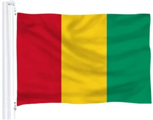 Custom Country Guinea Flag Durable Country Flag