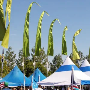Custom Fabric Printing Flying Advertising Bali Beach Flag with Flag Pole Small Feather Beach Banner