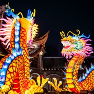 Custom Giant Illuminated Chinese Dragon Lantern Traditional Festival Lantern Decoration for Outdoor Light Show