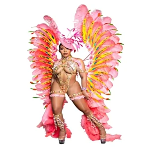 Custom Pink Tail Feather Wings for Carnival Parades and Opening Ceremonies Brazil Samba Performances Costume Props