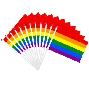 Custom Rainbow Hand Flag 14x21cm June Pride Month Event Decor 24 Hours Sample Making LGBTQ Festival Manufacturer