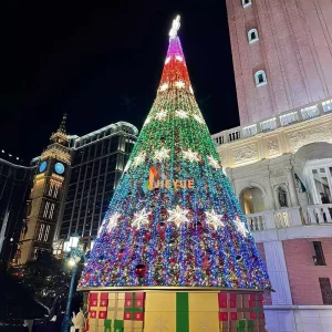 Customizable 3 30 Meters Large Outdoor LED Giant Commercial Christmas Tree Decorations High Quality Programmable Standing Base