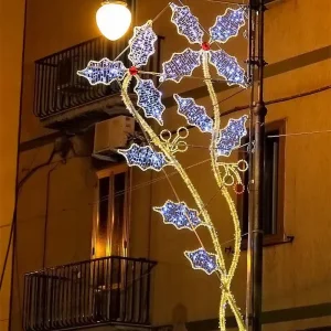 Customizable Festive Street Lighting for Outdoor Christmas Decor