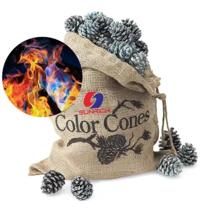 Customize Natural Pine Cones Colorful Flames Indoor Outdoor Decorations for New Year Christmas Easter Thanksgiving Celebrations