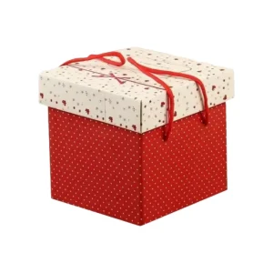 Customize Various Corrugated Gift Packaging Boxes Suitable for Christmas Thanksgiving and Labor Day Packaging