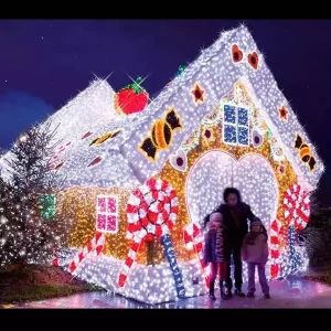Customized Outdoor Christmas Illuminated Decorations 3D Outdoor Large House Motif Holiday Decorative Lights