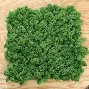 Customized Size Backdrop Preserved Green Moss Sheet Wall Panel Preserved Natural Decorative Moss Panel Wall