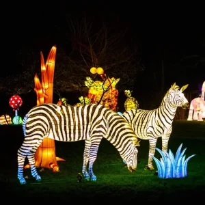 Customized Zigong Festival Lantern Silk Dragon Lantern LED Lighted Simulation Animal Lantern