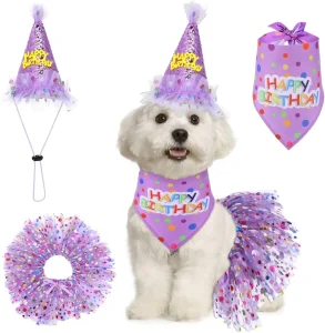 Cute Girl Dog Birthday Outfit Set Birthday Bandana Hat and Tutu Skirt Dress Puppy Party Supplies Decorative Costume for Dogs