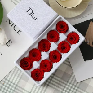 DIY Glass Dome with 10 Preserved Roses for Christmas, Thanksgiving, Father’s Day, Valentine’s Day, and Decorations