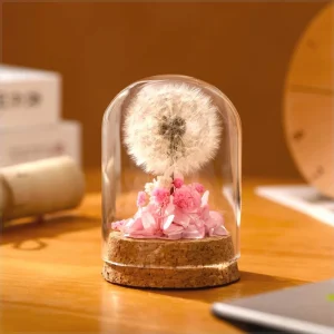 DIY Handmade Eternal Dandelion Glass Dome Night Light Eco friendly Decorative Desktop Ornament for Valentine’s Day Day Day