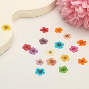 DIY Nail Art Dried Flowers Mixed Color Mini Star Pressed Blooms Nail Gradient Eye Sticker Photo Facial DIY Decor Dried Flower