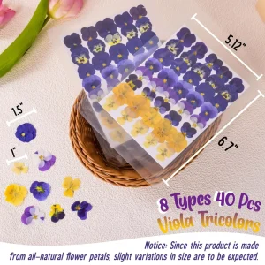 DIY Resin Jewelry Pansy Pressed Flowers Colorfast Viola Blooms DIY Floral Supplies for Phone Case DIY Dried Pressed Flowers