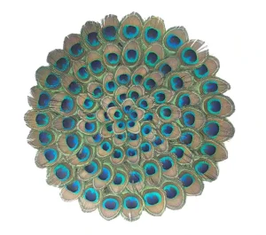 DIa 40cm Peacock Feathers Crafts Real Large Peacock Eyes Placemats for Dining Table Decoration Home Decor