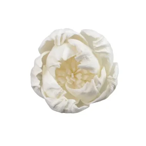Decorative Sola Wood Flowers 1.6 Inch Heart Shape Small Peony Handmade Flowers with Insertable Wire for Home & Father’s Day