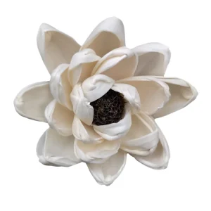 Decorative Sola Wood Flowers Wafa Handmade Water Lily Eco Non Fire Aromatherapy Floral Father’s Day Indoor