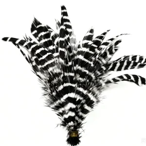 Dyed Barred Schappen Chicken Rooster Feather Craft DIY Fly Tying Material Carnival Hair Earring Accessory Party Home Decor