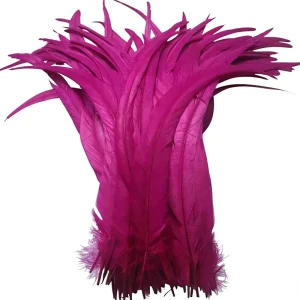 Dyed Cock Coque Tail Chicken Tail Rooster Feather for Craft Party Costume Holiday Hat Accessory Carnival Halloween Wedding Decor