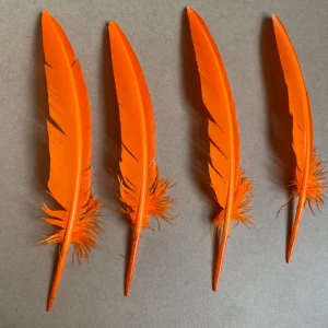 Dyed Cut Quill Turkey Feather for Craft DIY Headdress Hat Costume Cosplay Accessory Carnival Party Wedding Home Floral Decor