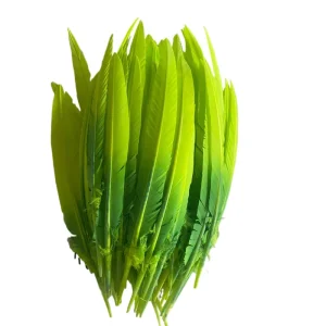 Dyed Green Arrow Cut Quill Turkey Feather for Craft Headdress Headwear Hat Hair Costume Millnery Accessory Carnival Party Decor