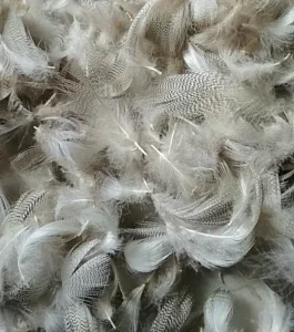 Dyed Natural Material Duck Feather for Crafts DIY Hat Costume Accessory Carnival Party Wedding Home Halloween Decor