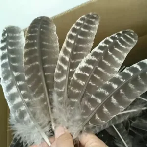 Dyed Natural Quill Hair Accessory Turkey Feather for Craft DIY Headdress Hat Costume Carnival Party Wedding Home Floral Decor